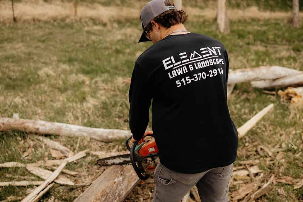 Tree Service image