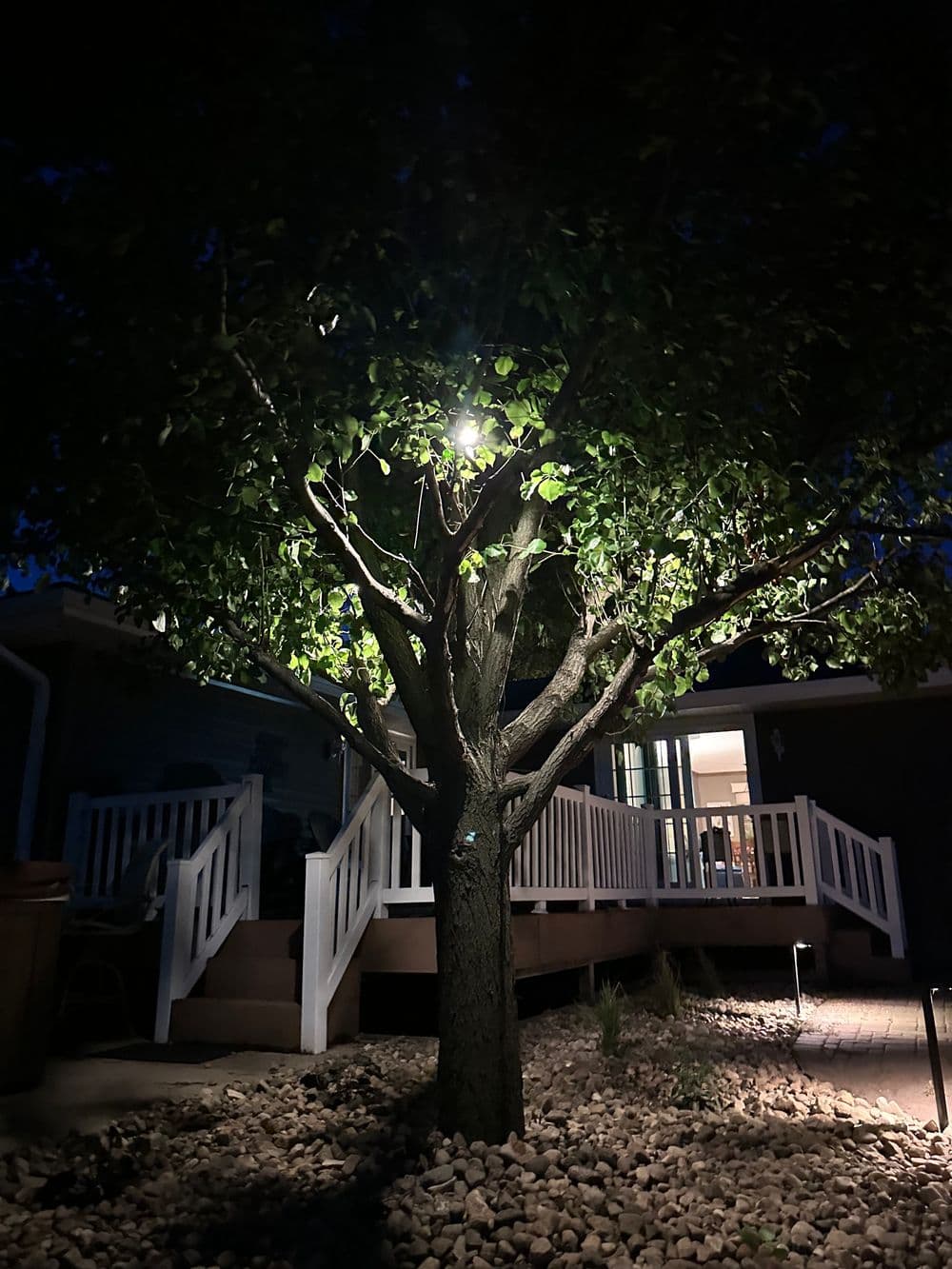 Gallery photos for Elegant Landscape Lighting Transformation: Image #6