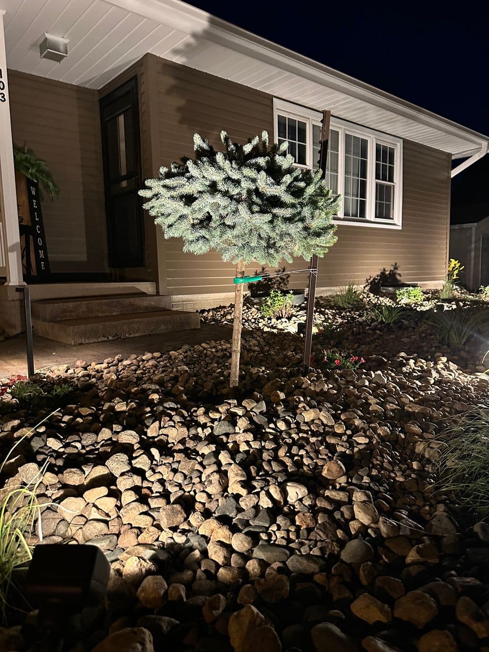 Gallery photos for Elegant Landscape Lighting Transformation: Image #1